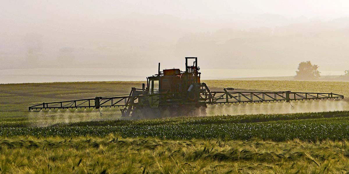 Pesticida si, pesticida no. Prosegue il dibattito